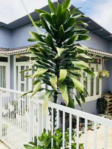Apartamento Chloe's_house