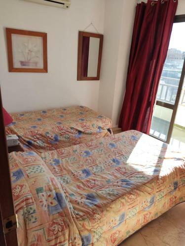 Apartamento En El Centro Y Al Lado de La Playa
