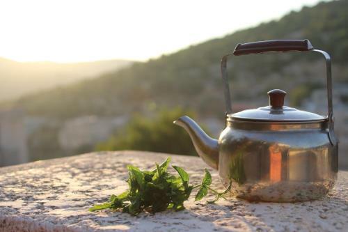 Ajloun Mihna Guest House