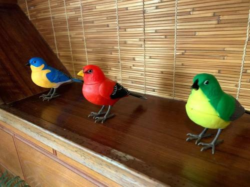 Zuikaiun Okinawa - Vacation Stay 53982v