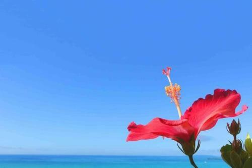 Zuikaiun Okinawa - Vacation Stay 53982v