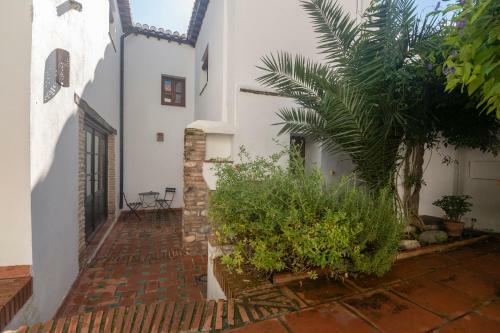 Patio Del Olivo