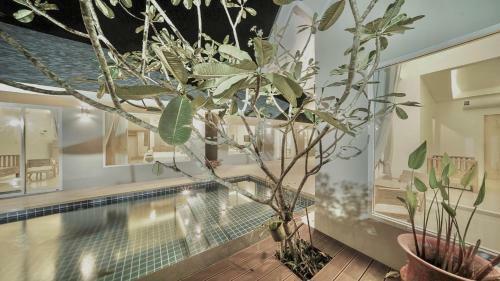 De Palm Pool Villa
