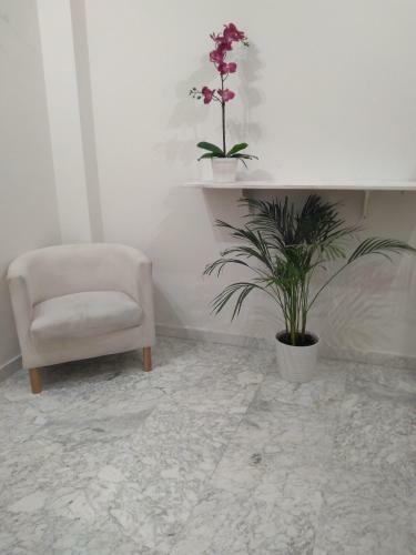 Apartamento Realejo Centro Ciudad