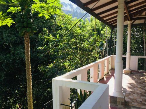 Hostal New Toropi Homestay