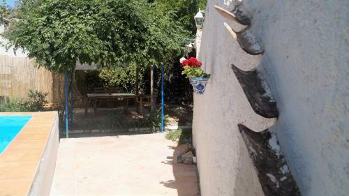 Agroturismo Casa Cueva ?la Estrella?