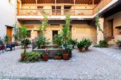 Apartamento Junto Al Albaic�n Con Terraza