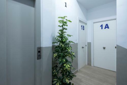 Aloja2 Apartamentos