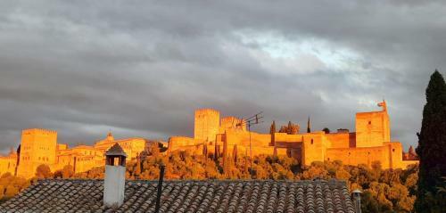 Apartamento Alcaicer�a