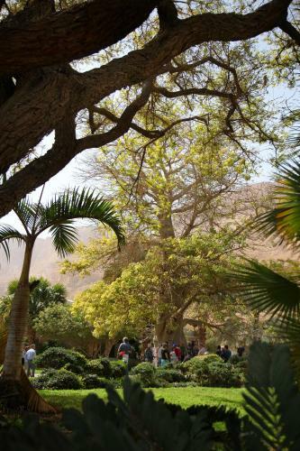 Ein Gedi Family Apartment