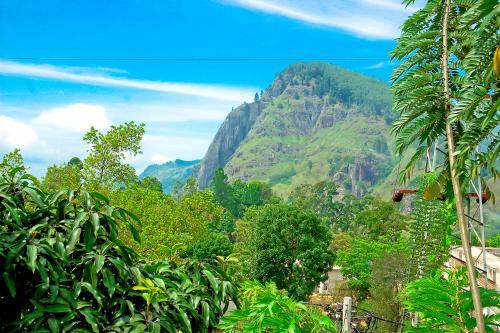 Welcome Homestay