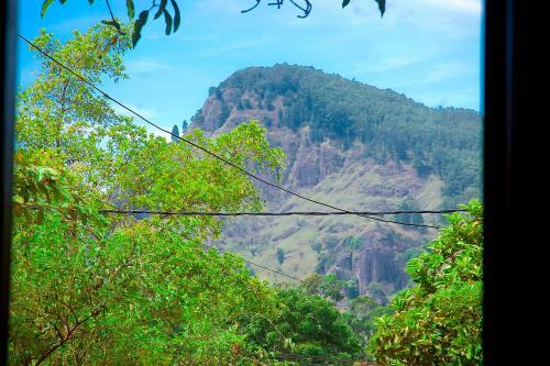 Welcome Homestay