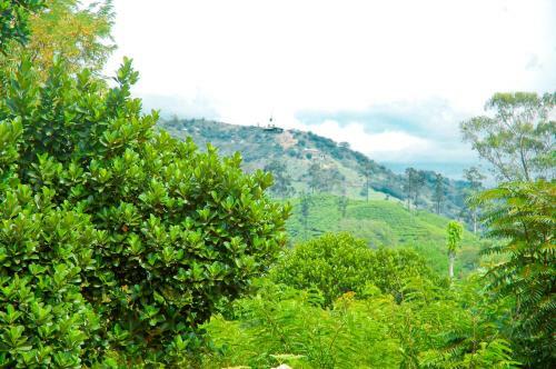 Welcome Homestay
