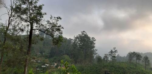 Hostal Nine Arch Homestay