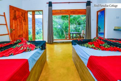 Bird Paradise Cottage