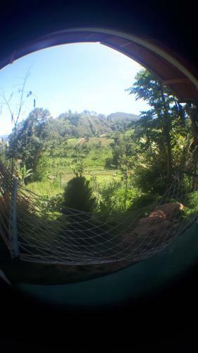 New Farmers Paradise