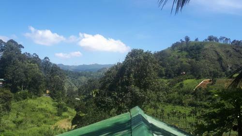 New Farmers Paradise