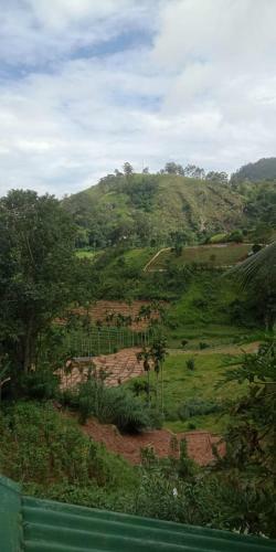 New Farmers Paradise