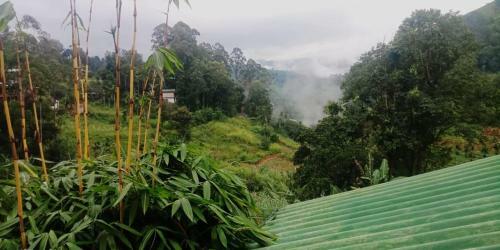 New Farmers Paradise