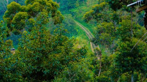 Hostal Shining Green View
