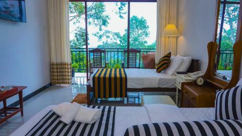 Hostal Shining Green View