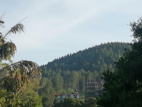 Hostal Whiteflowerhomestayella
