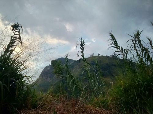Ella Nature Home Stay
