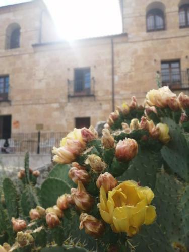 Posada Palacio De Guzm�n