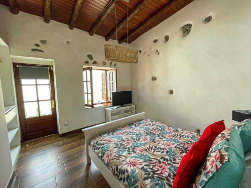 Eco Reyna House