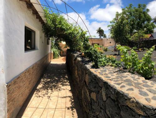 Apartamento Casa Palmera Y Casa D�til