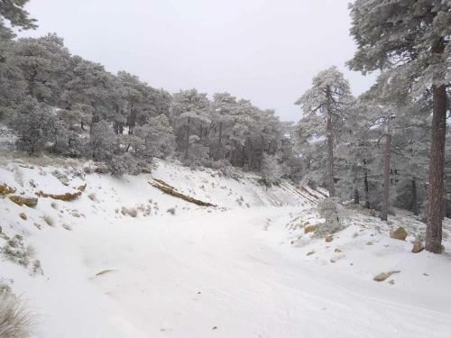 Apartamento Casa El Naranjo de Jos� La Fuente
