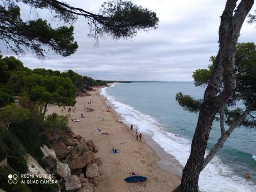 Cal Cot