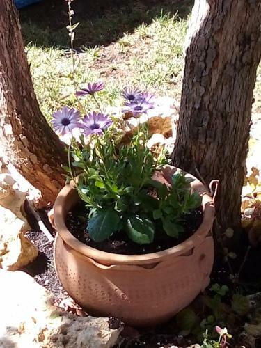 Agroturismo La Casita de Mar�a
