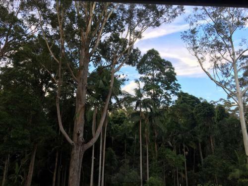 Mapleton Cabins & Caravan Park