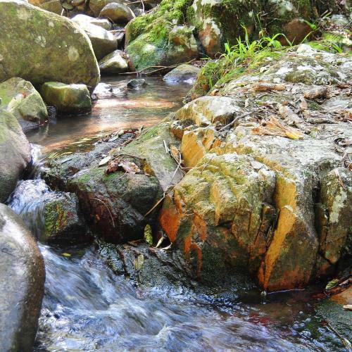 Lodge Mt Warning Forest Hideaway