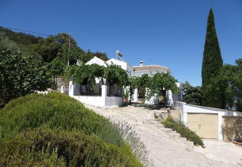 Casa Del Pino