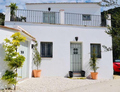 Hostal La Pluma