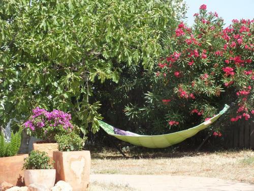 Bed & Breakfast Buena Idea - Adults Only
