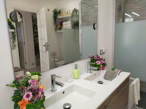 Apartamento Plaza San Marcos