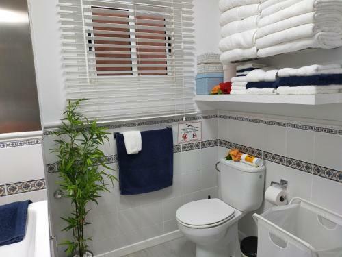 Apartamento Playa Monis