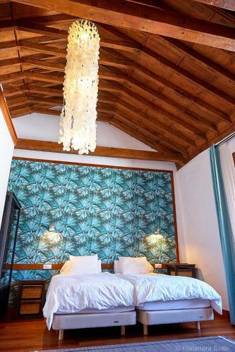 Apartamento Platanera Suites