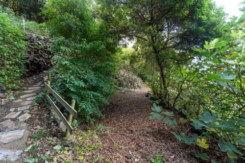Apartamento Finca El Molledo El Naranjo