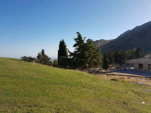 Apartamentos Rurales La Dehesa Del Acebuche