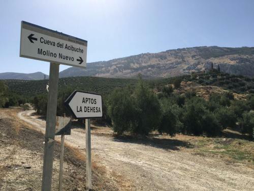 Apartamentos Rurales La Dehesa Del Acebuche
