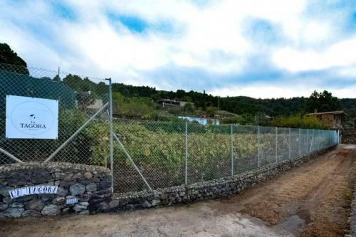 La Tagora Casa Rural En Icod de Los Vinos
