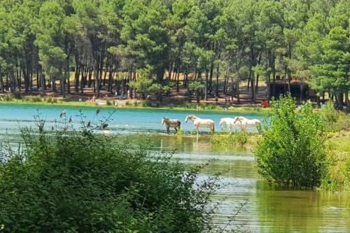 Casa Junto Al Lago