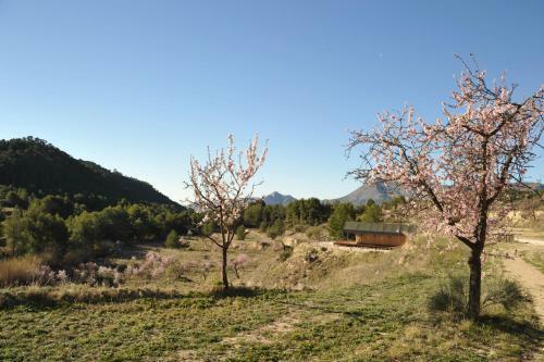 Villa Finca Les Coves