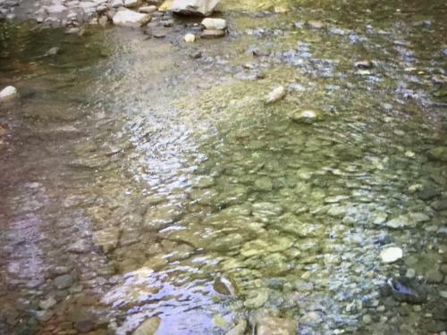 Apartamento J�brique