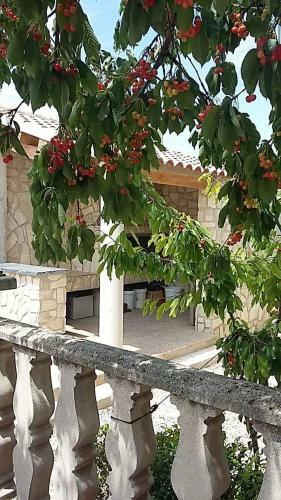 Casa Rural La Veguilla