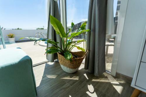 Villa Suites Bene